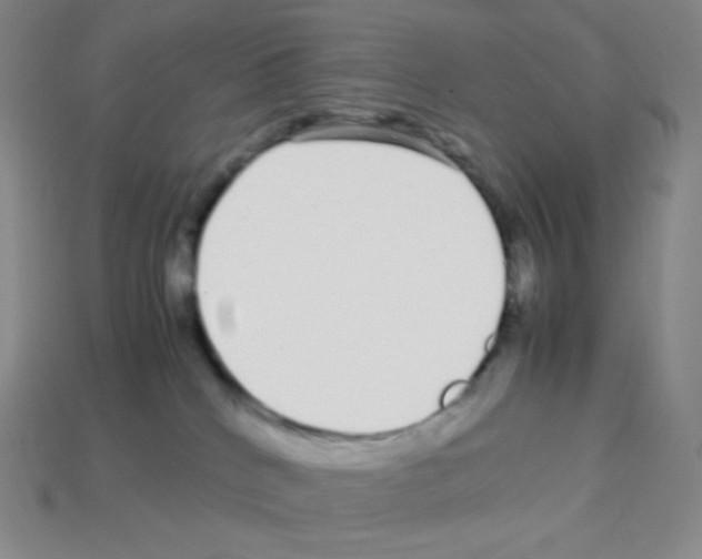 X0000113040040200910081220