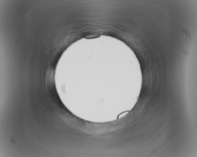 X0000113040041200910081220