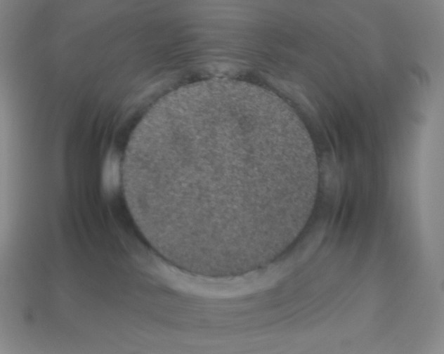 X0000113040042200910081220