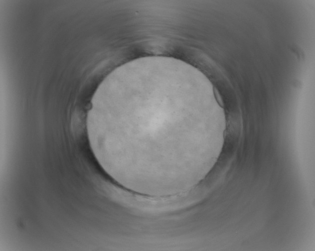 X0000113040043200910081220