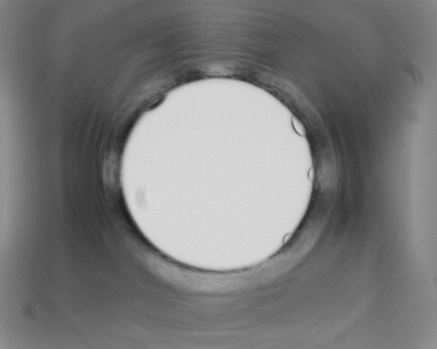 X0000113040044200910081220