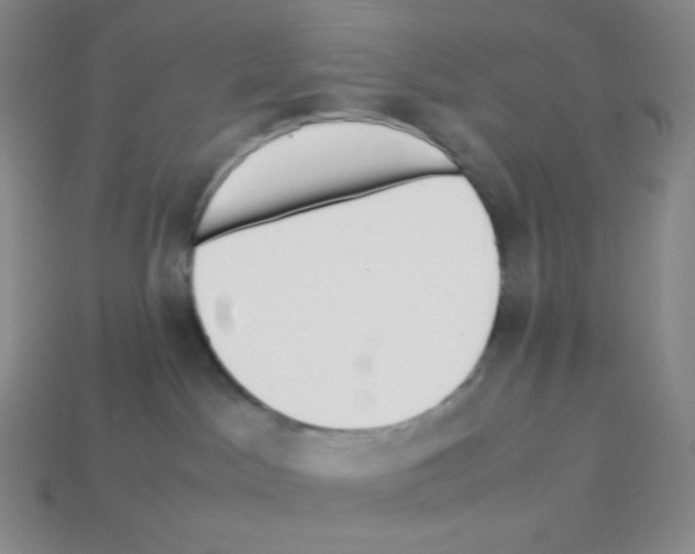 X0000113040045200910081220