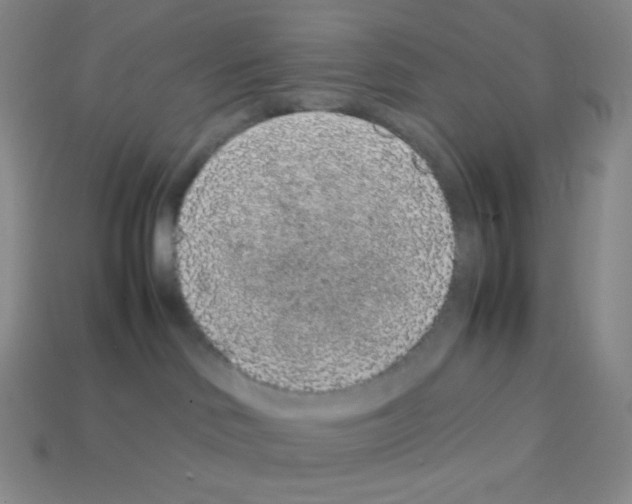 X0000113040046200910081220
