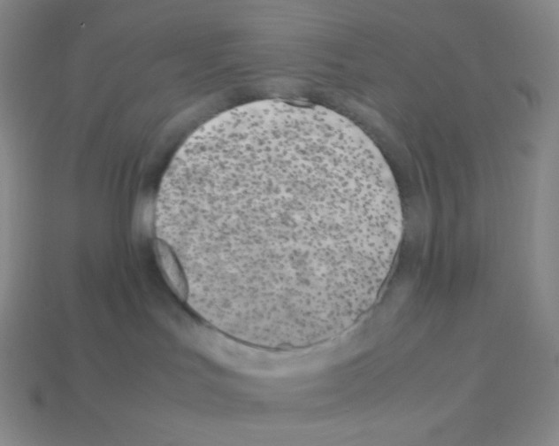 X0000113040047200910081220