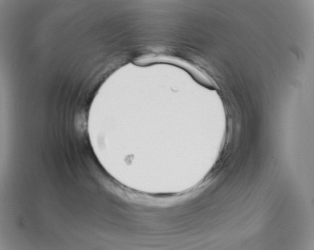X0000113040048200910081220