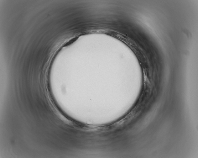 X0000113040049200910081219