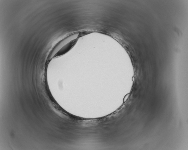 X0000113040050200910081219