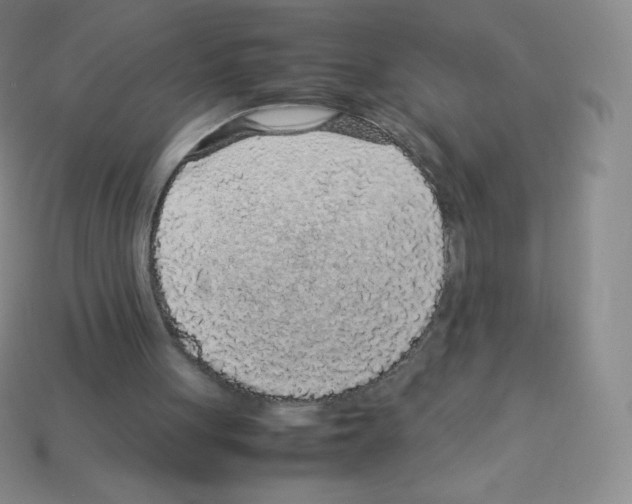 X0000113040051200910081219
