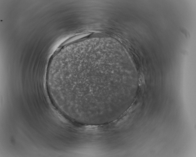 X0000113040052200910081219