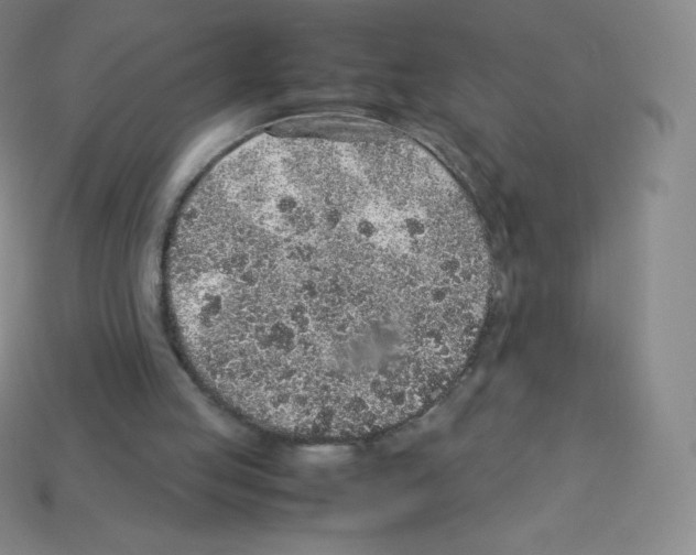X0000113040053200910081219