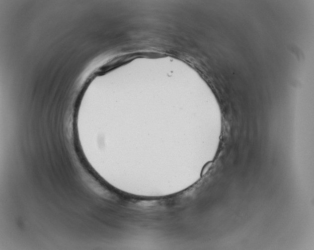 X0000113040054200910081219