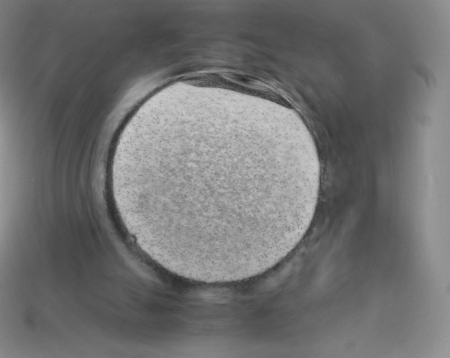 X0000113040055200910081219