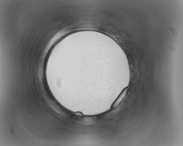 X0000113040056200910081219