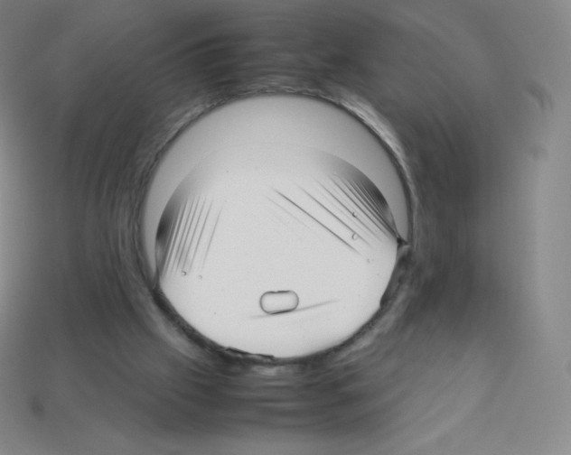 X0000113040057200910081219
