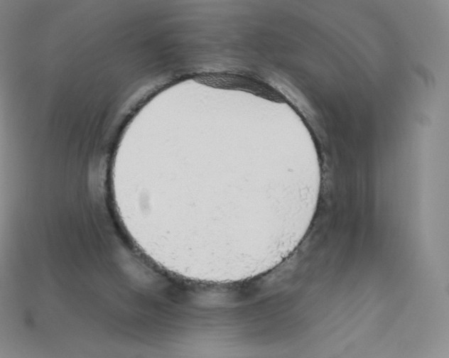 X0000113040058200910081219