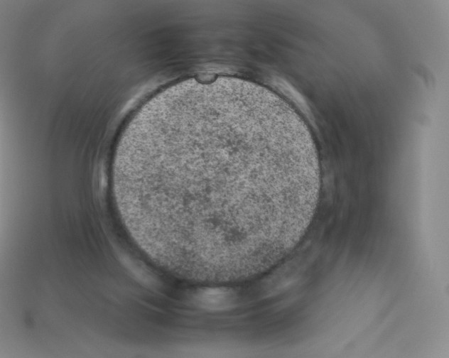 X0000113040059200910081219