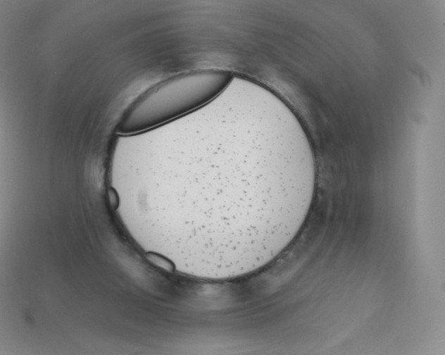 X0000113040060200910081219