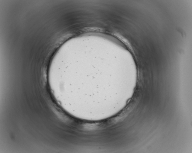 X0000113040061200910081219