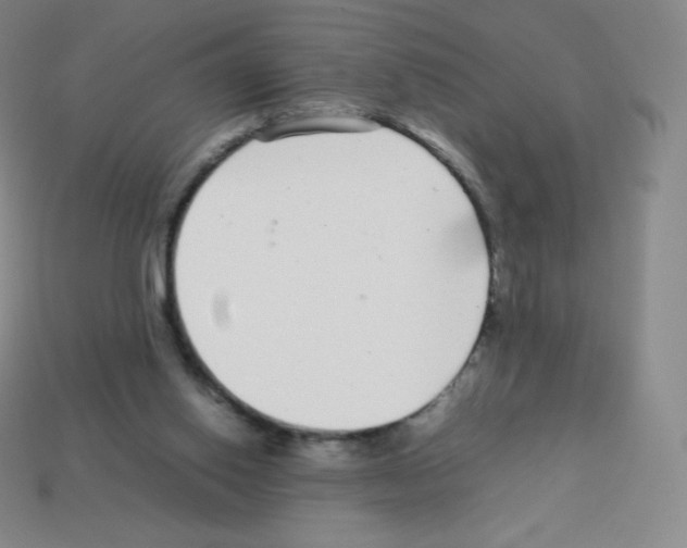 X0000113040062200910081219