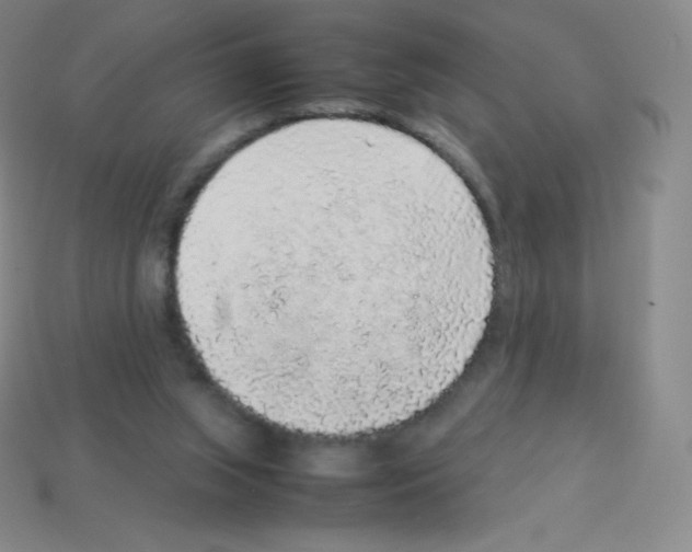 X0000113040063200910081219