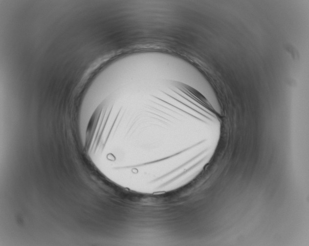 X0000113040064200910081219