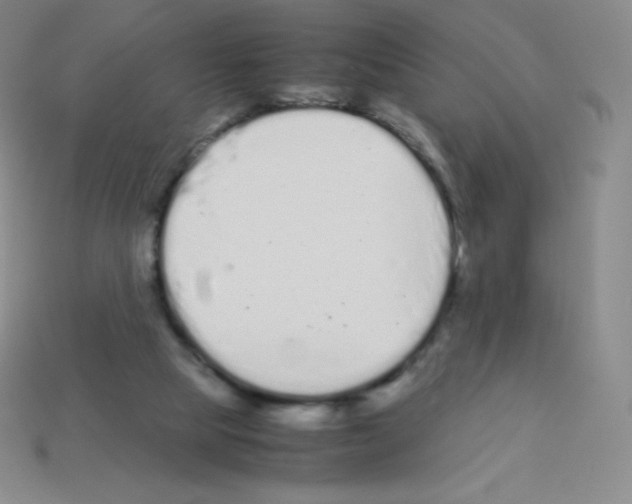 X0000113040065200910081219