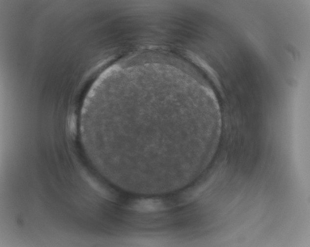 X0000113040067200910081219