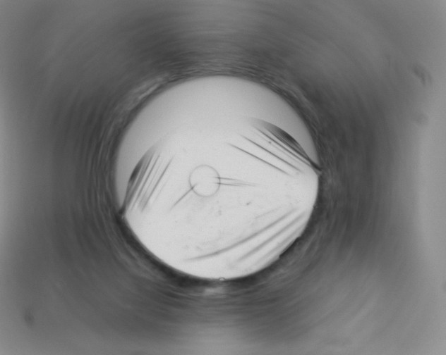 X0000113040068200910081219