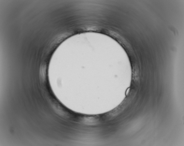 X0000113040070200910081219