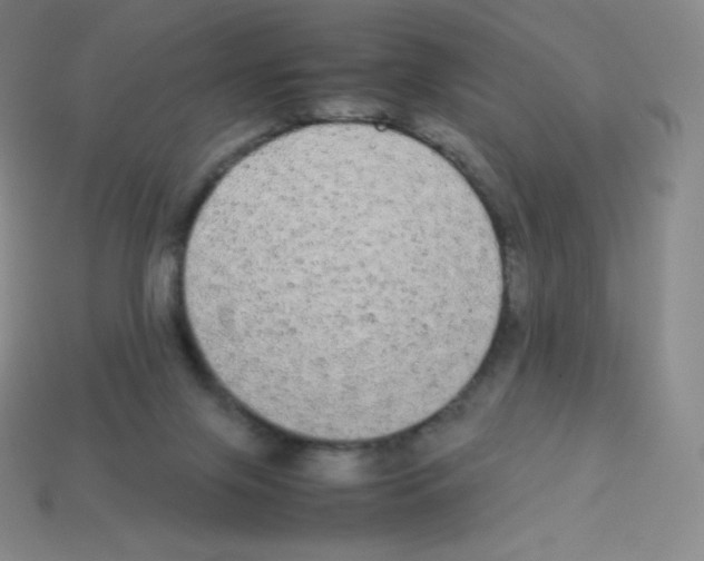 X0000113040071200910081219