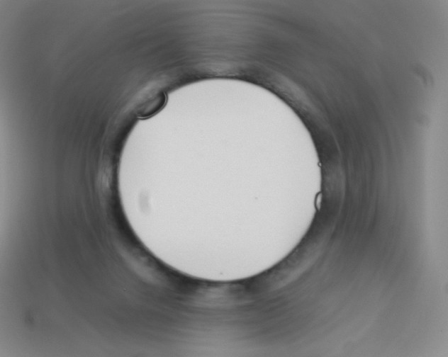 X0000113040072200910081219