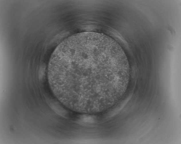 X0000113040073200910081219