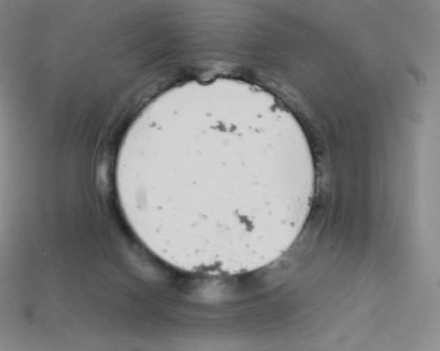 X0000113040074200910081219