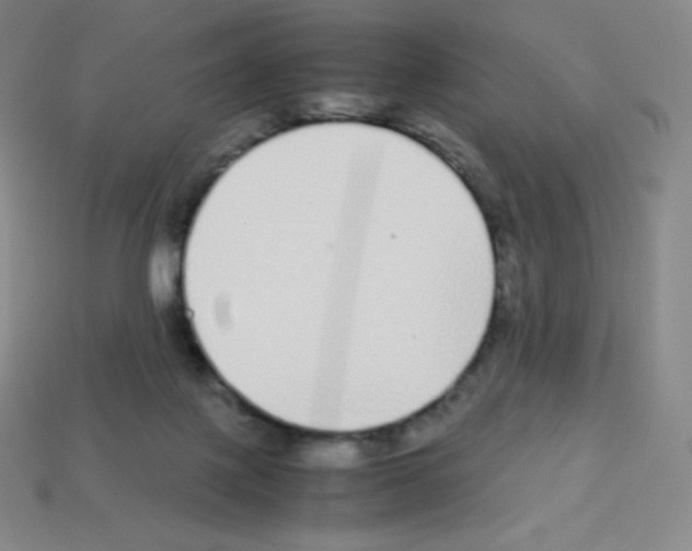 X0000113040075200910081219