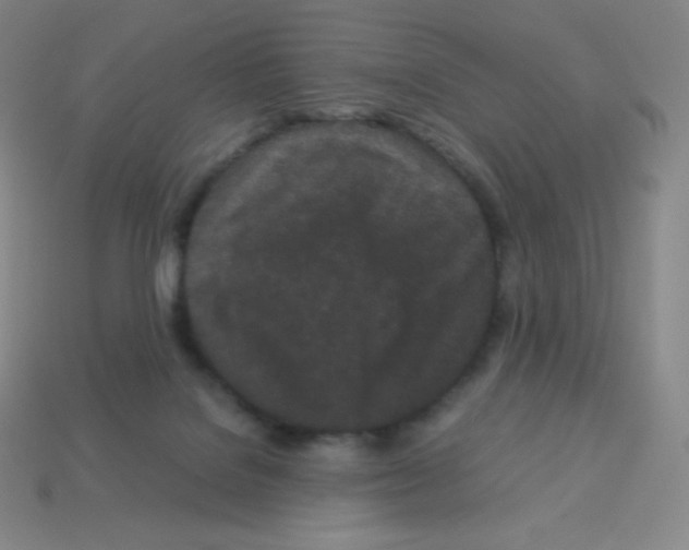 X0000113040076200910081219