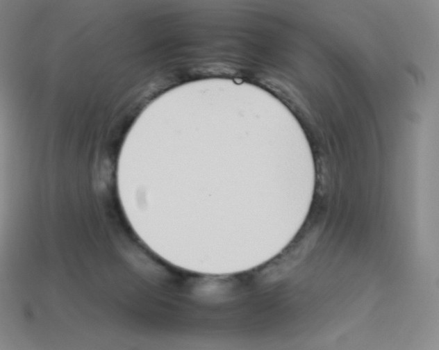 X0000113040077200910081219