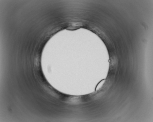X0000113040078200910081219