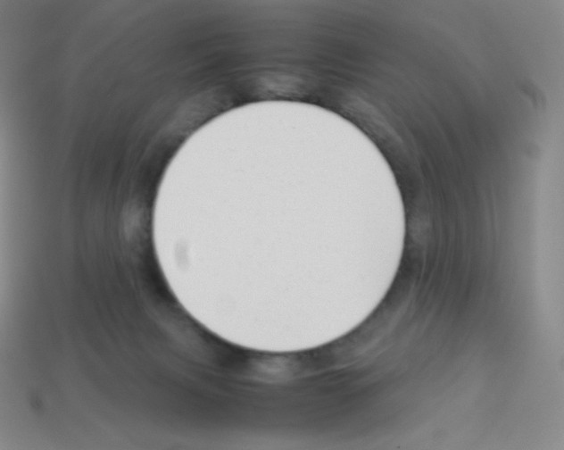 X0000113040079200910081219