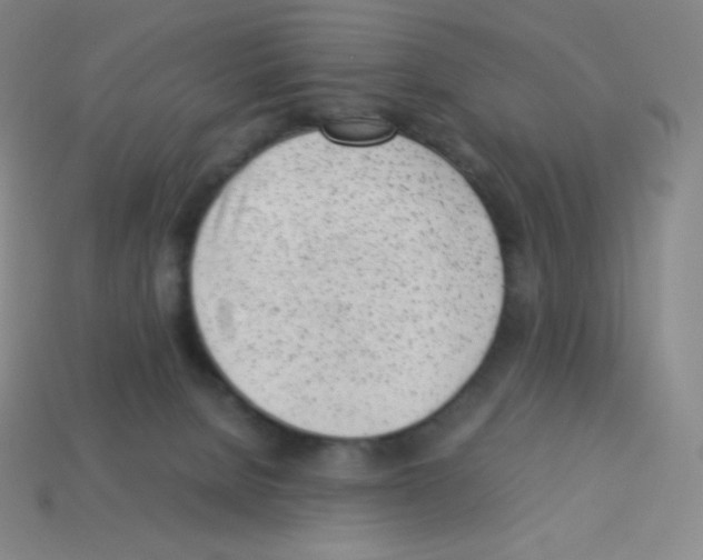 X0000113040080200910081219