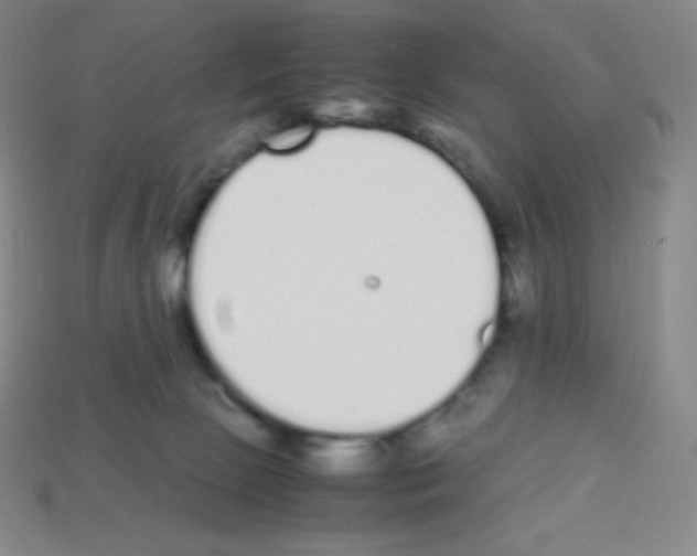 X0000113040081200910081220