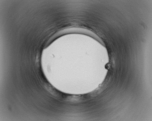 X0000113040082200910081220