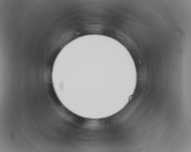X0000113040083200910081220