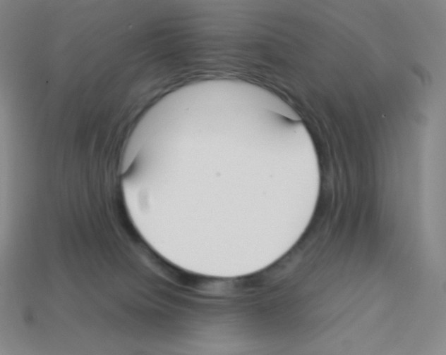X0000113040084200910081220
