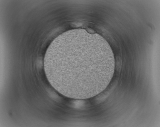 X0000113040085200910081220