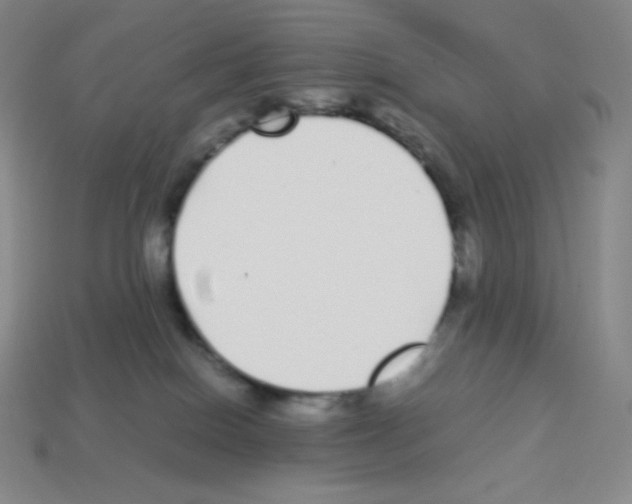 X0000113040086200910081220