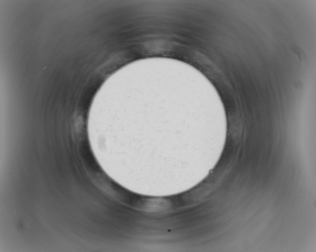 X0000113040087200910081220