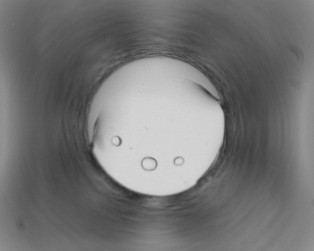 X0000113040088200910081220