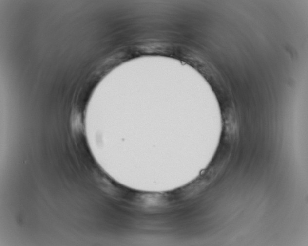 X0000113040089200910081220