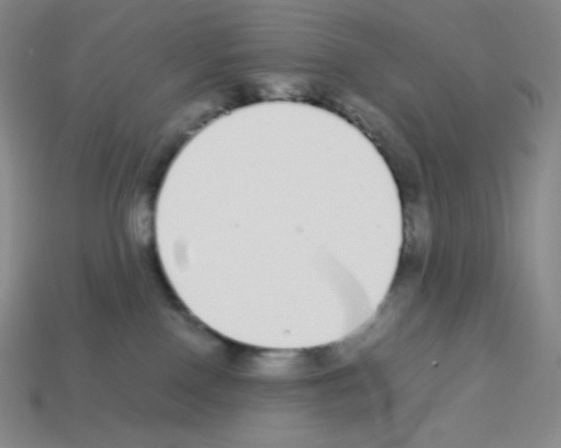X0000113040090200910081220