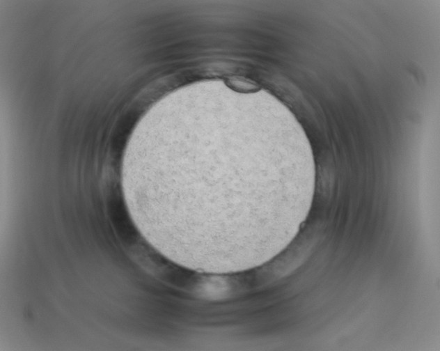 X0000113040091200910081220